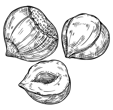 collection praliné MZ Pâtisserie YVELINES 