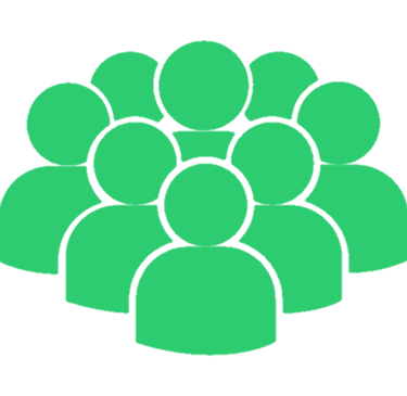 Group of music fans icon