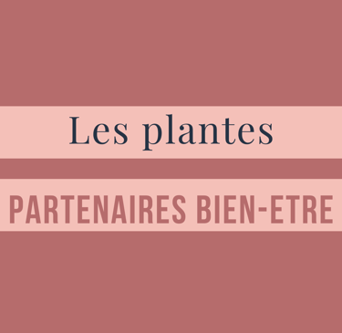 Conseils décoration