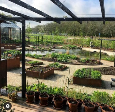 Piscina natural com o jardim