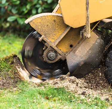 alt="Dessouchage de souche d’arbre en Haute-Savoie annecy
