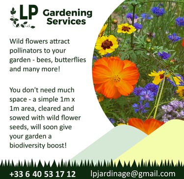 Social media post using visual assets. Gardening Company. Designed by SquareKey Studio