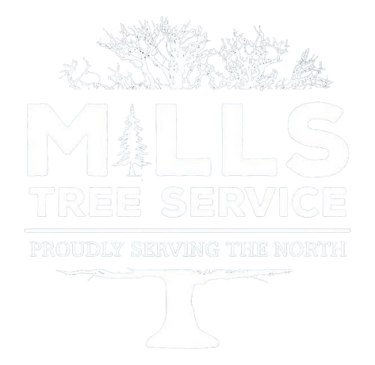 mills tree service