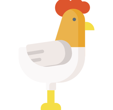 a chicken with a red head and a white bird