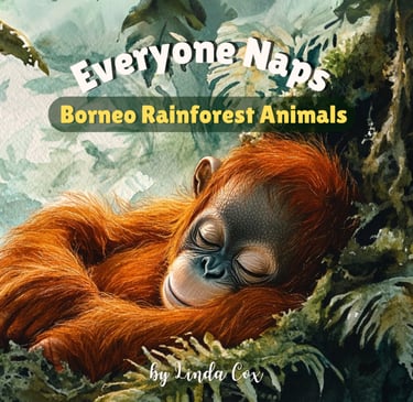 Borneo Rainforest Napping Animal Book for kids