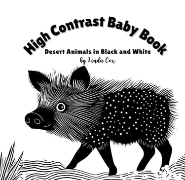 High Contrast Baby book with Desert Animals