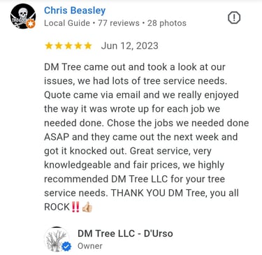 review from dm tree customer in olathe Kansas