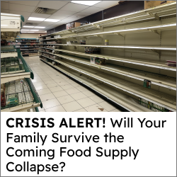 empty store shelves - ransacked store