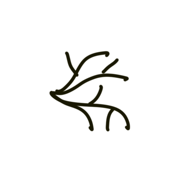 growing connections