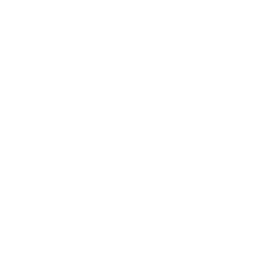 The Iron Remnant Vector logo