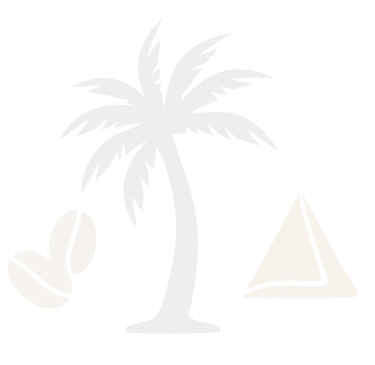 Minimalist light gray tropical icons featuring a palm tree, coffee beans, and a pyramid.