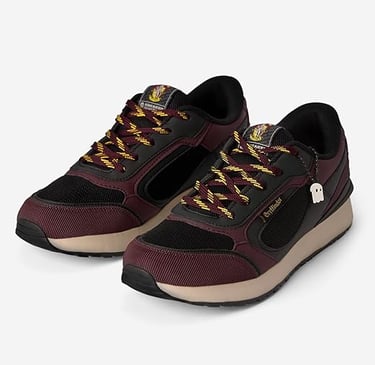 Harry Potter: Gryffindor Men and Boys sneakers 