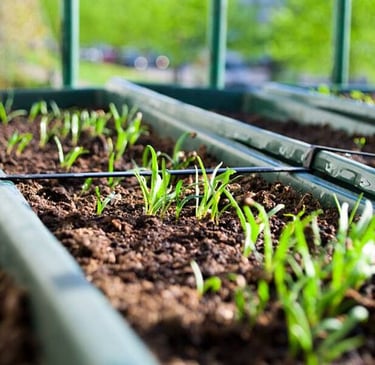 cursos de  huerto urbano