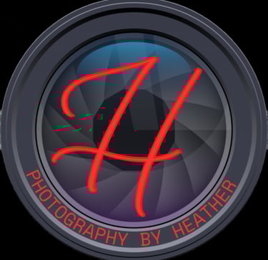 Photography by Heather