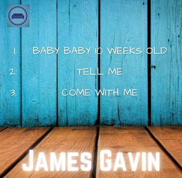 Track List - Back Cover