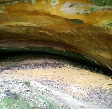 a cave