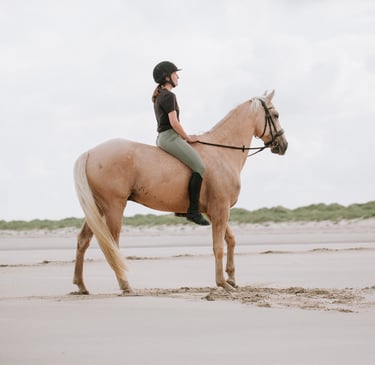 couple cavalier cheval plage