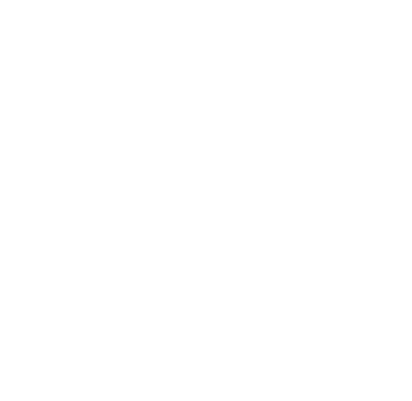 Spicy By Design logo in white