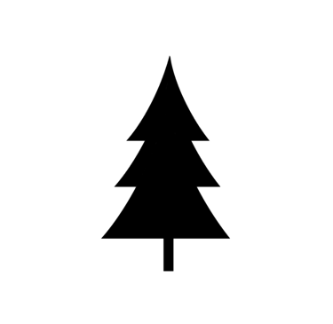 Debris Removal In San Antonio