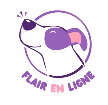 Bouton pour envoyer sur le site de Flair en Ligne