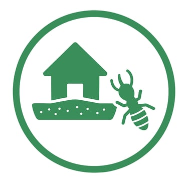 termite around the outside perimeter of a home