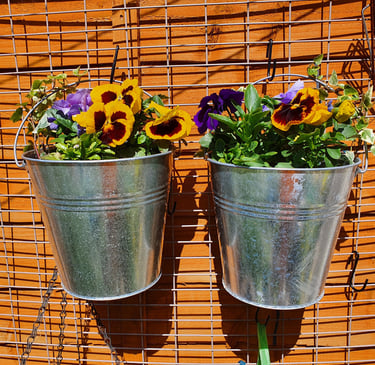 Buckets hanging from a dismantled fireguard