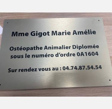 Ostéopathie animale et clinique vétérinaire