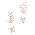 boot prints icon