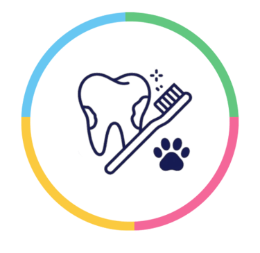 Limpeza Dentaria Veterinario