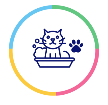 banho em gatos maringa