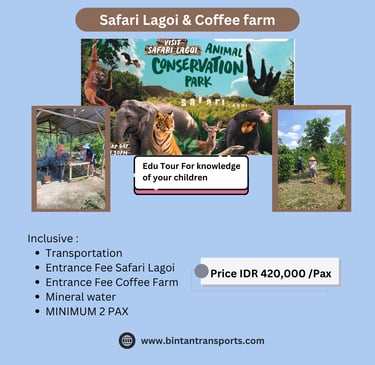 Safari Lagoi & Coffee farm