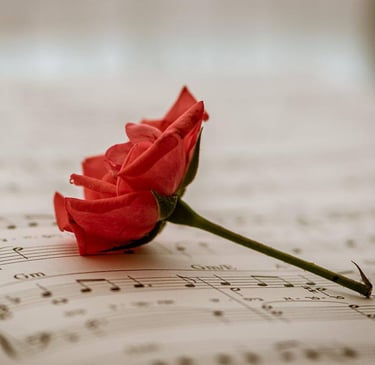 Concerts et cérémonies