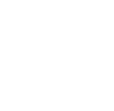cultura organizacional