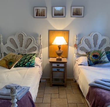 air bedroom with two beds and a lamp