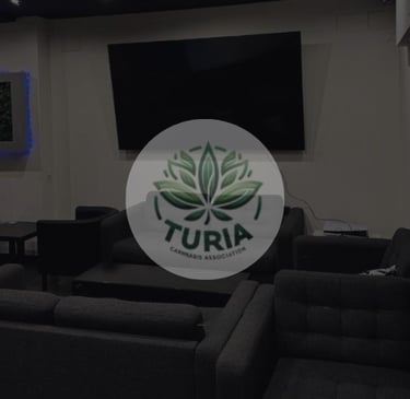 Interior moderno de la Asociación Cannábica Turia con logo sobre imagen
