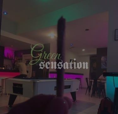 Interior de Green Sensation Cannabis Club con ambiente lounge y luz tenue