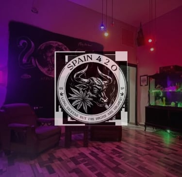 Logotipo Spain 420 Social Club en sala con luces LED y ambiente cannábico