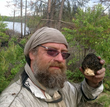 Renaud Longrée, cofondateur de Myco Sylva