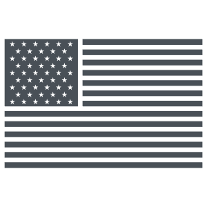 Unitide States Flag Icon