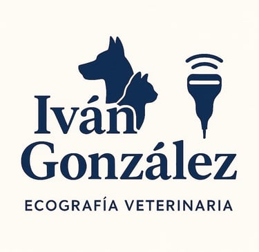 Logotipo de Iván González:siluetas de perro, gato y sonda ecográfica con texto Ecografía Veterinaria