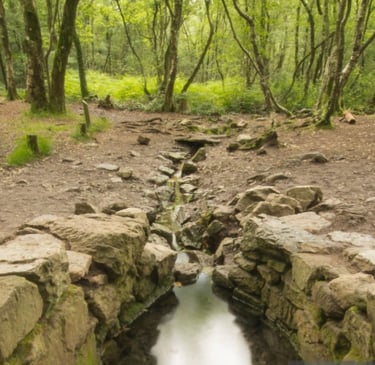 la fontaine de barenton foret de broceliande