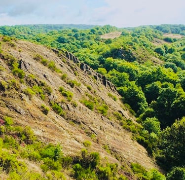 le val sans retour Brocéliande