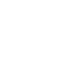 Football - Icon
