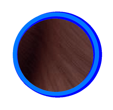 Le seal est la couleur la plus foncée du Ragdoll, elle va du marron clair au noir profond.