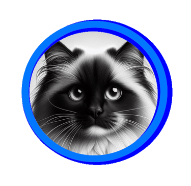 Toutes les extrémités du chat sont foncées.