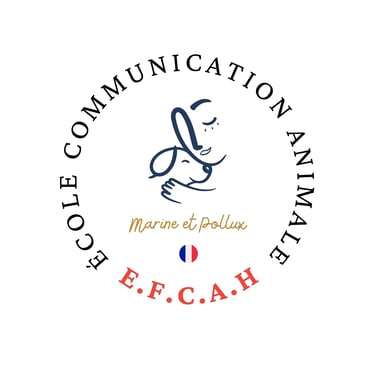 Ecole de Communication Animale - Partenaire La Phyto d'Anaïs