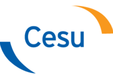 Chèque emploi service 