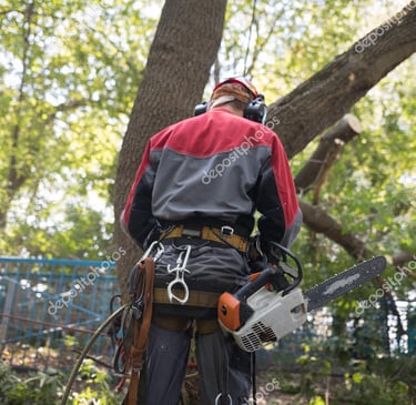 Imagen de operario realizando trabajos forestales