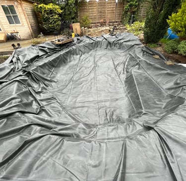 garden pond makeover