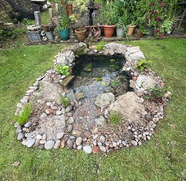 garden wildlife pond build